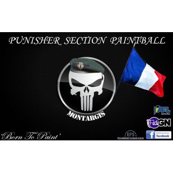 Punisher Section paintball